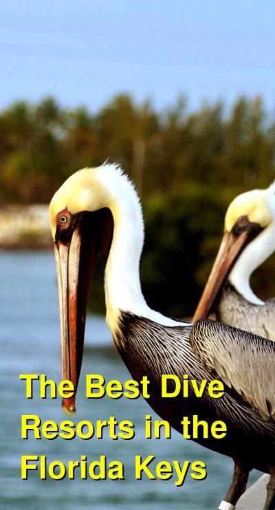 The Best Dive Resorts in the Florida Keys | Budget Your Trip