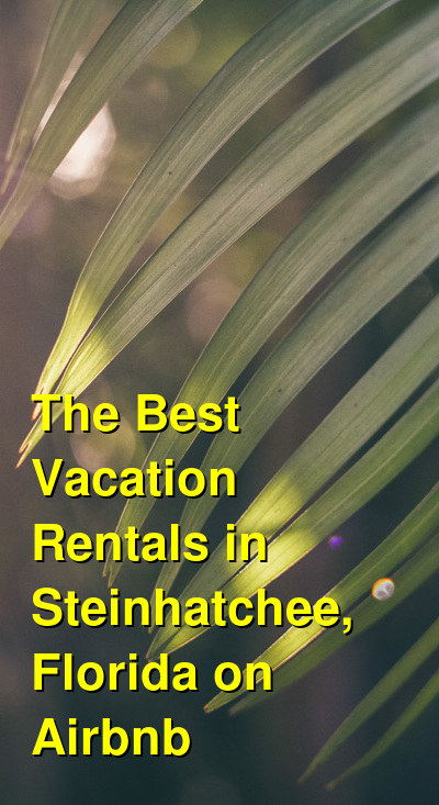 The Best Vacation Rentals in Steinhatchee, Florida on Airbnb & VRBO | Budget Your Trip