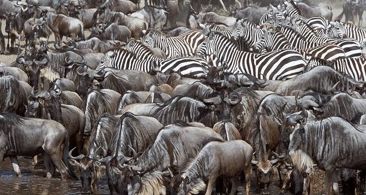 Africa
