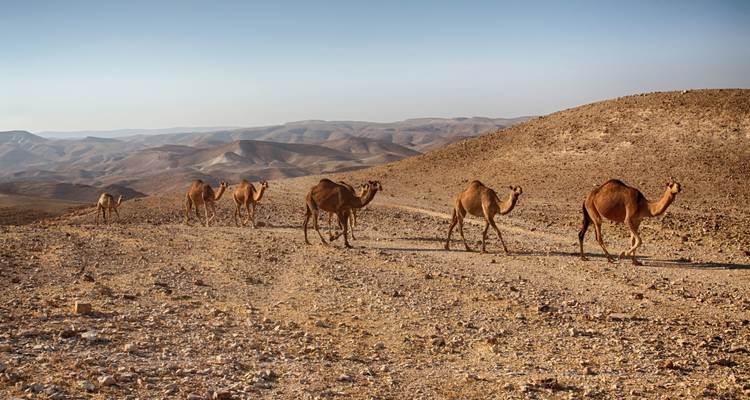 Israel