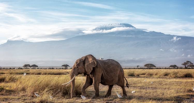 Tanzania