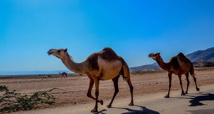 Oman