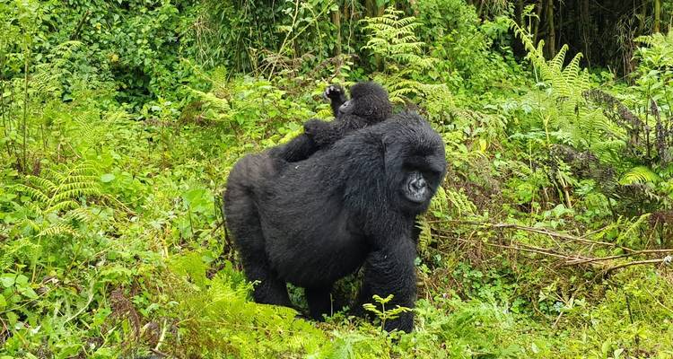 Rwanda