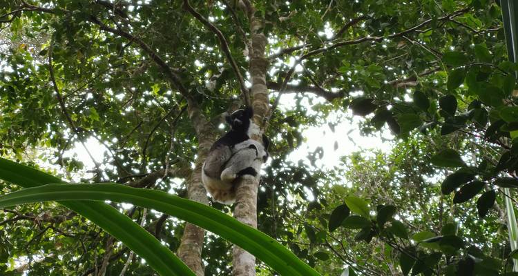 Madagascar