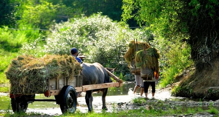 Cambodia