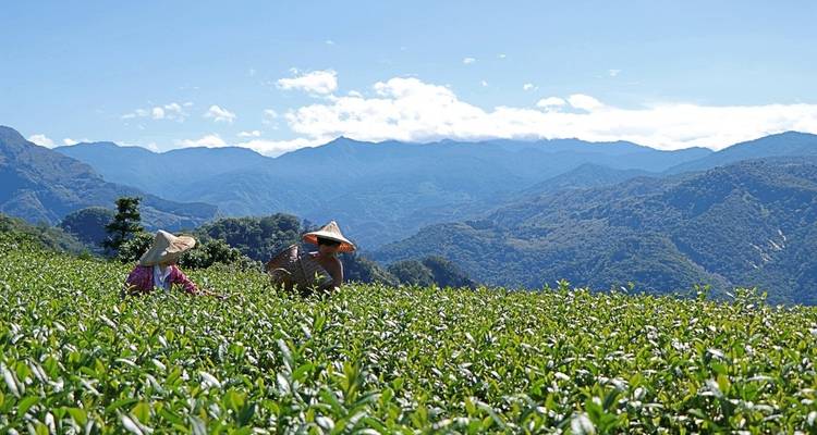 Taiwan
