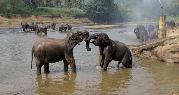Sri Lanka
