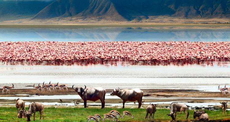 Tanzania