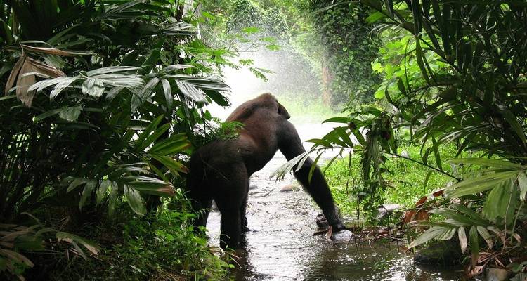 Uganda