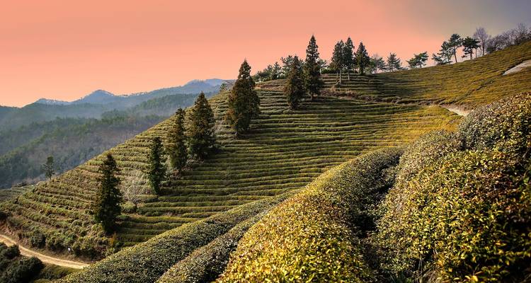 East Asia