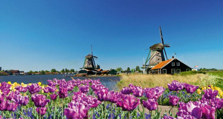 Netherlands