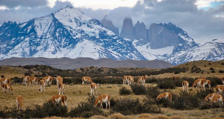 South America
