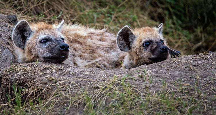 East Africa