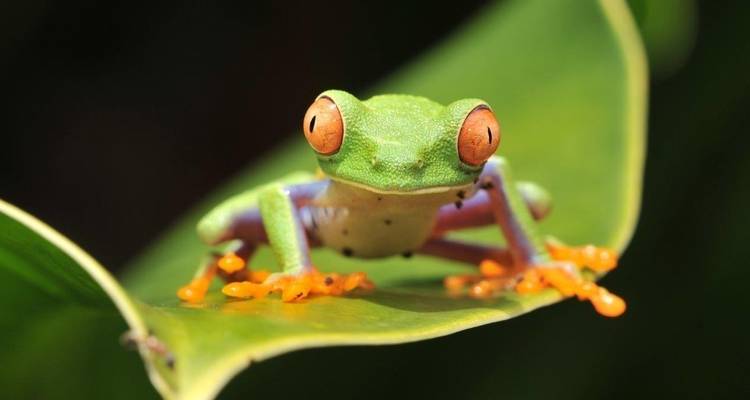 Costa Rica