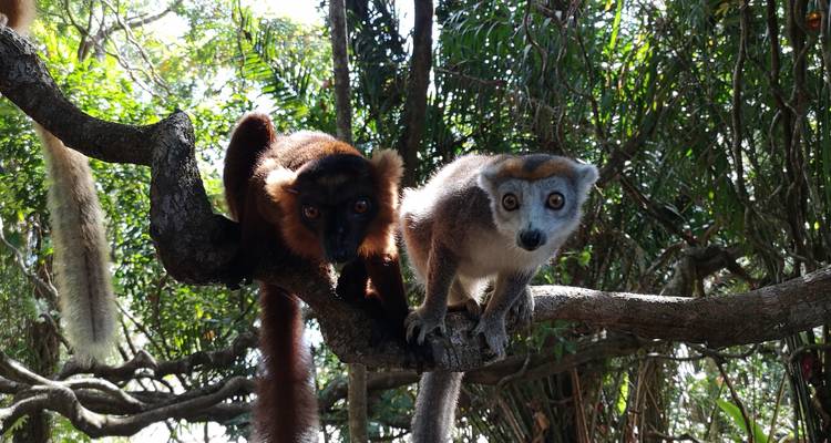 Madagascar