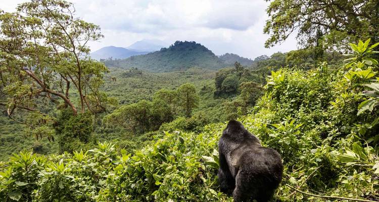 Rwanda