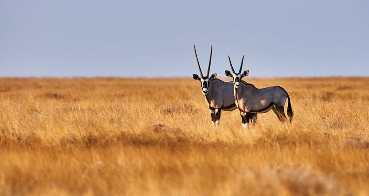 South Africa