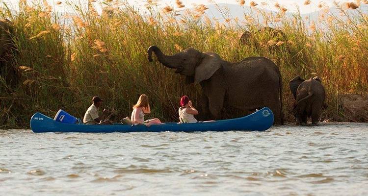 Africa