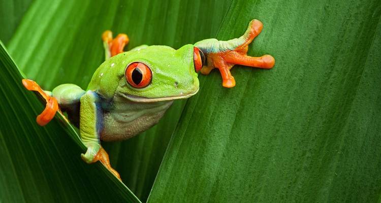 Costa Rica