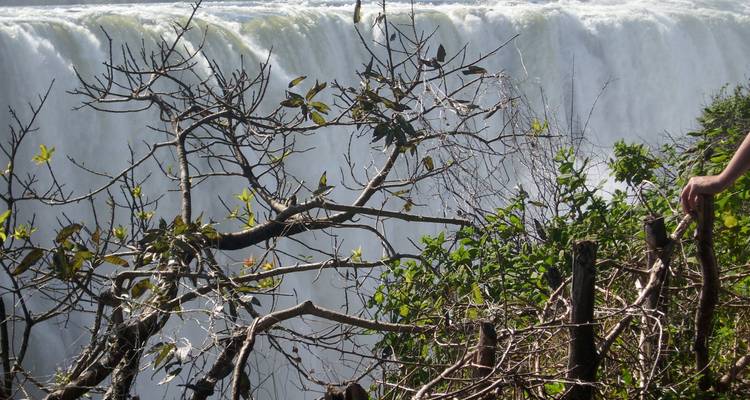 Zimbabwe