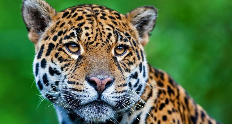 Belize
