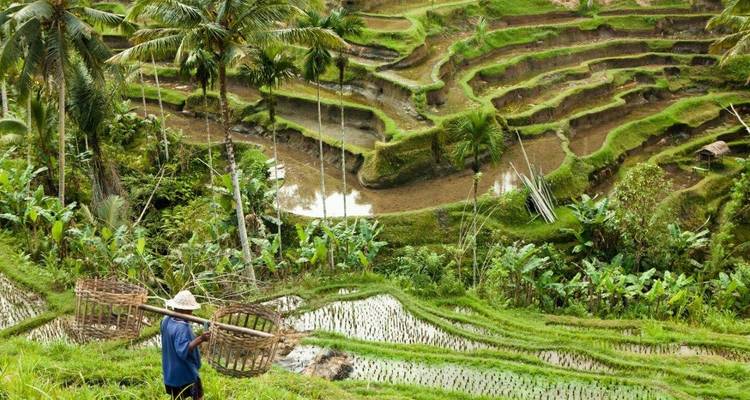 Indonesia