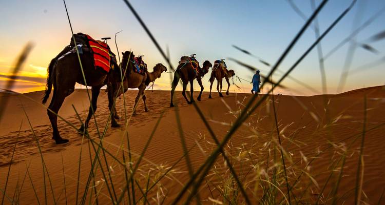 Morocco