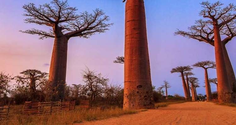 Madagascar
