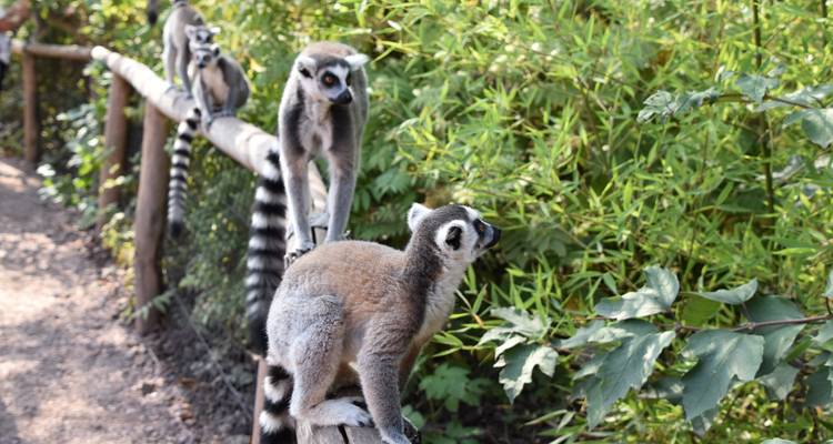 Madagascar
