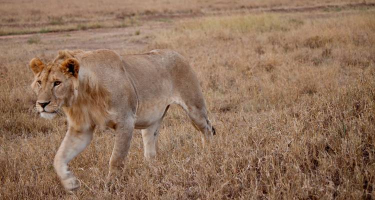 East Africa