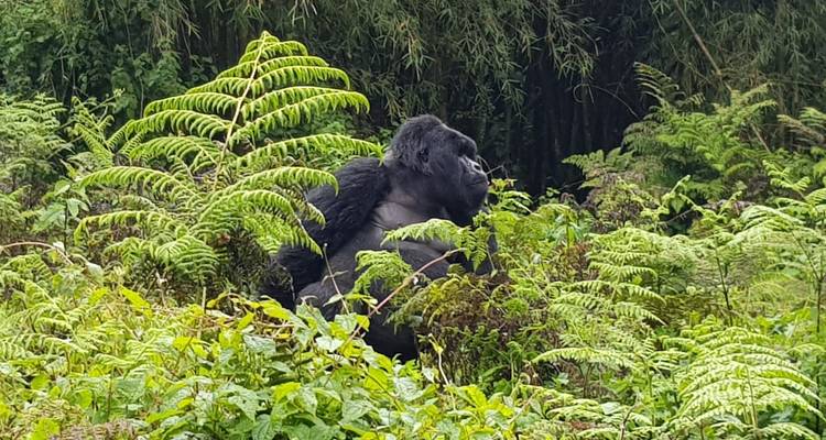 Rwanda