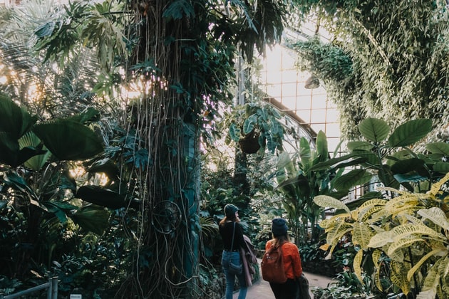 Lincoln Park Conservatory
